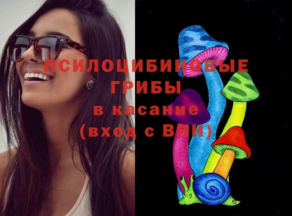 Альфа ПВП Пестово