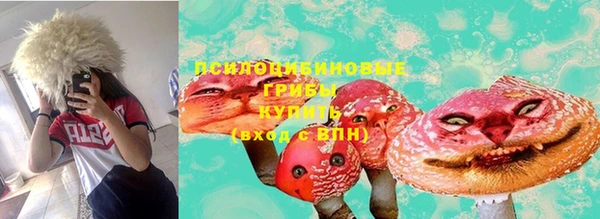 тгк Видное