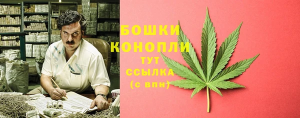 Альфа ПВП Пестово