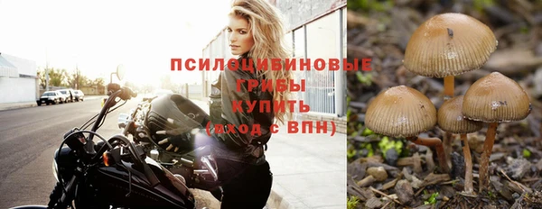 Альфа ПВП Пестово