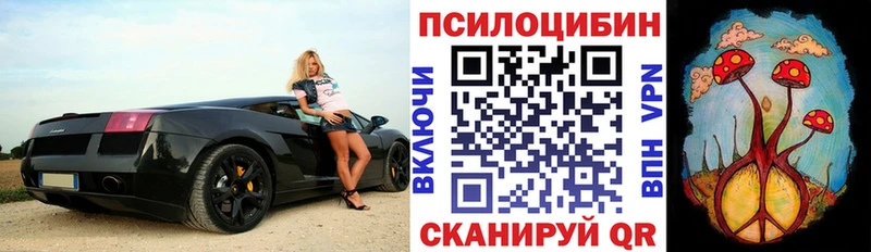 Галлюциногенные грибы MAGIC MUSHROOMS  Южа 